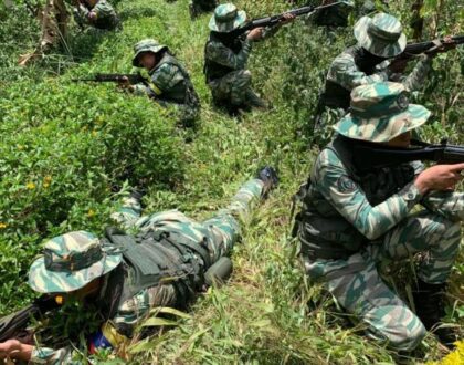 Milicia Bolivariana es fundamental para hacer frente a guerra irregular contra la Patria