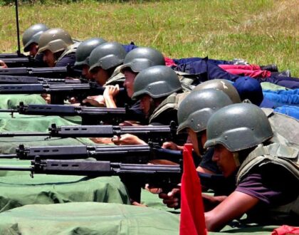 Resistencia Activa y Ofensiva Permanente
