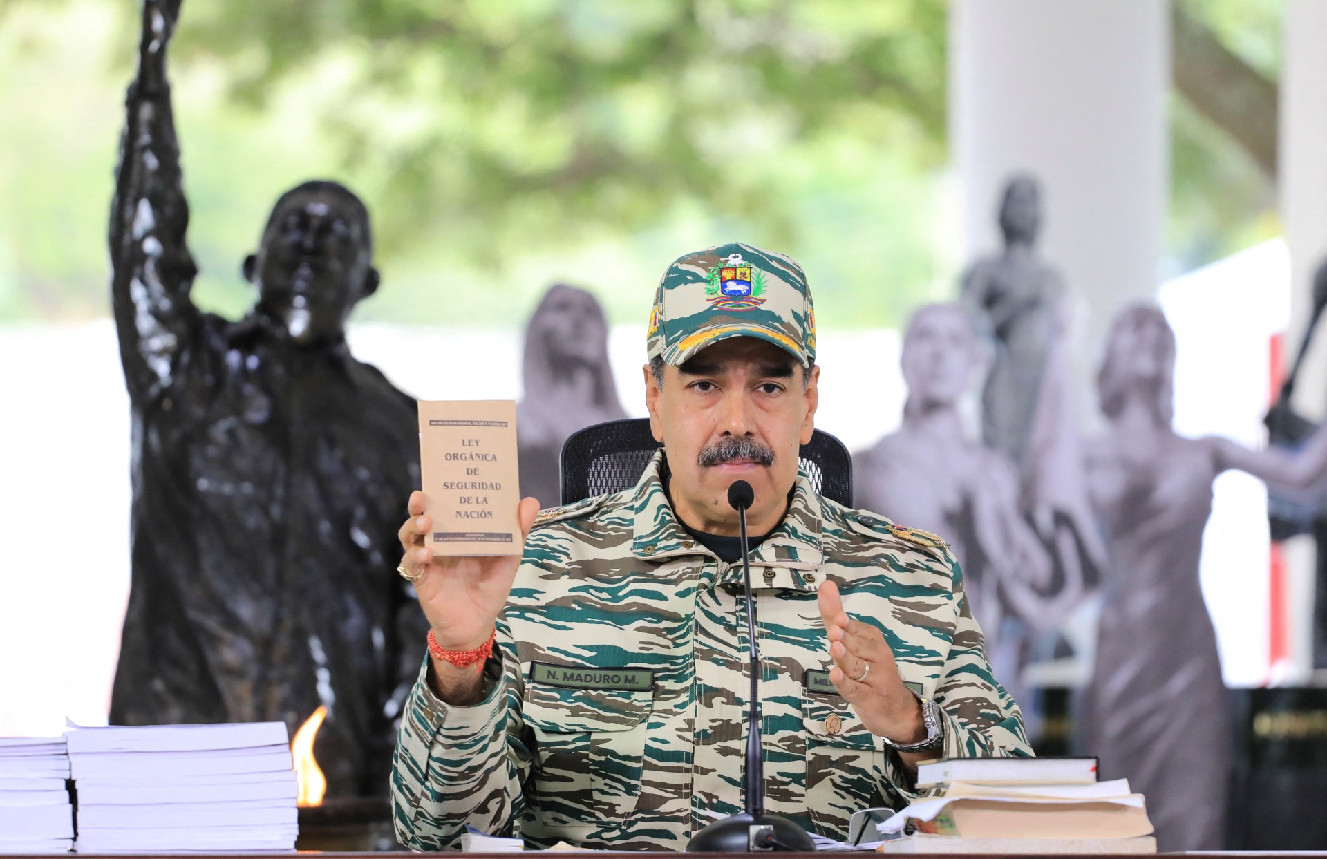 Los Órganos de Dirección para la Defensa Integral